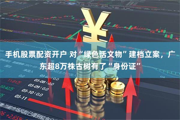 手机股票配资开户 对“绿色活文物”建档立案，广东超8万株古树有了“身份证”