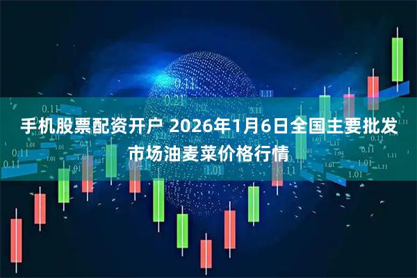 手机股票配资开户 2026年1月6日全国主要批发市场油麦菜价格行情