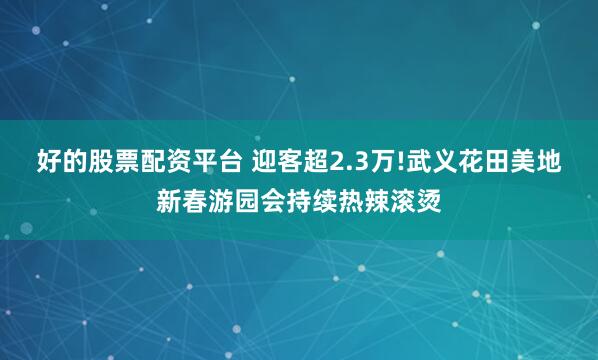 好的股票配资平台 迎客超2.3万!武义花田美地新春游园会持续热辣滚烫
